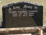 image of grave number 850176